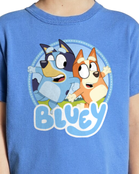 Bluey and Bingo