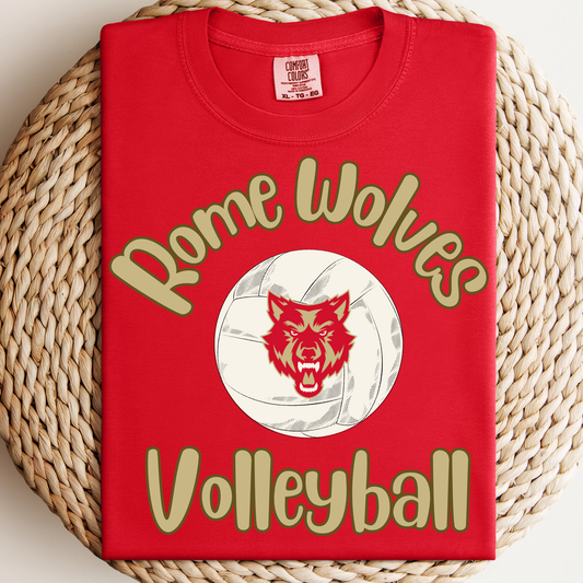 Volleyball